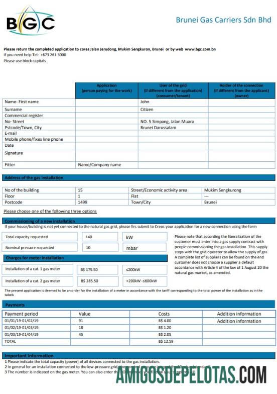 Conta de serviços públicos de gás das transportadoras de gás de Brunei modelo